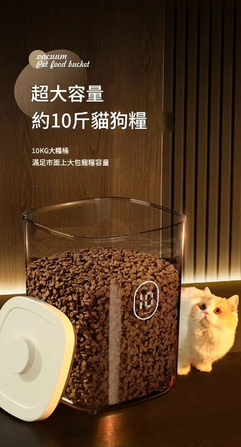 1000x0.webp