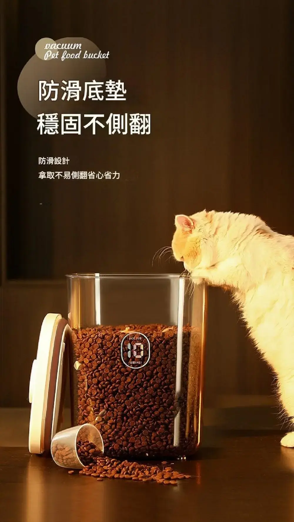 1000x0.webp