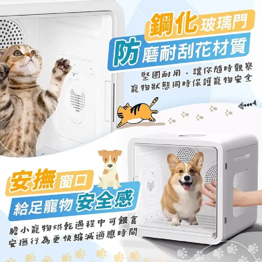 1000x0.webp