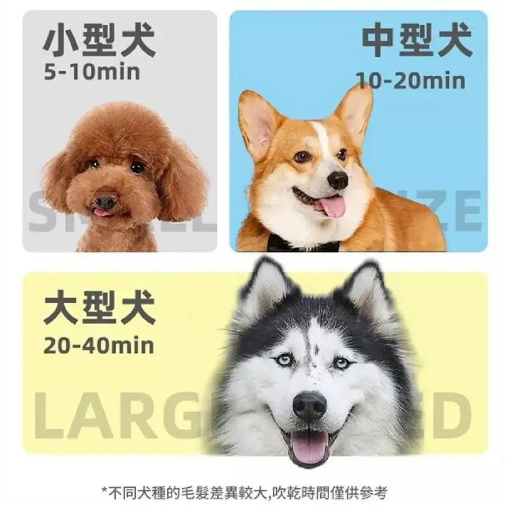 1000x0.webp