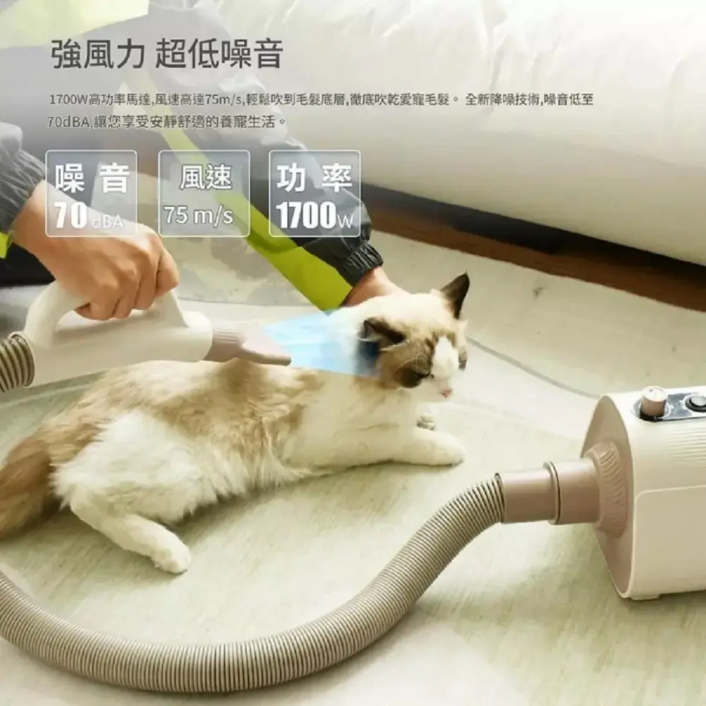 1000x0.webp