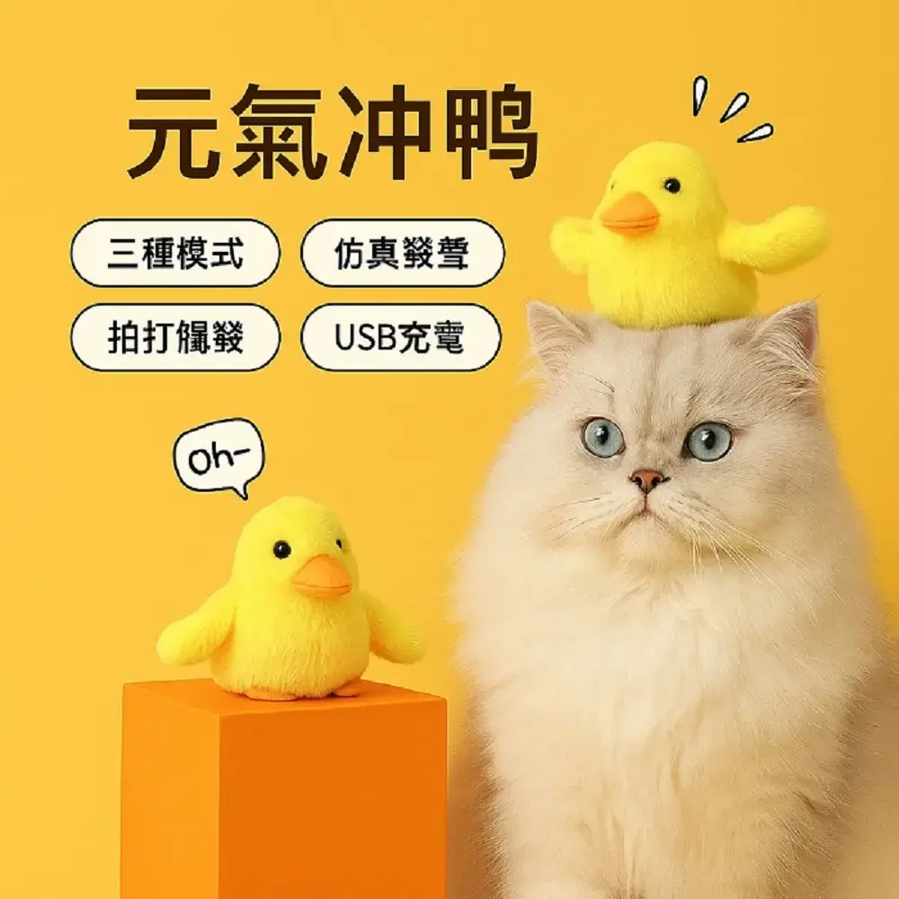 1000x0.webp