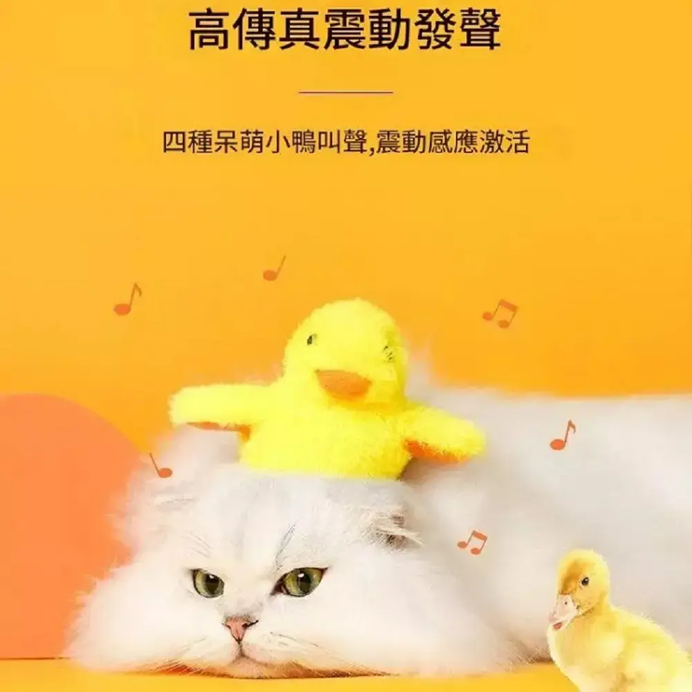 1000x0.webp