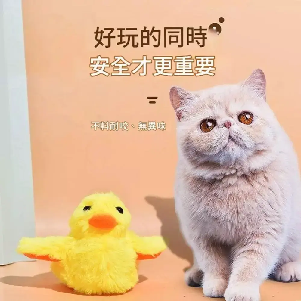 1000x0.webp