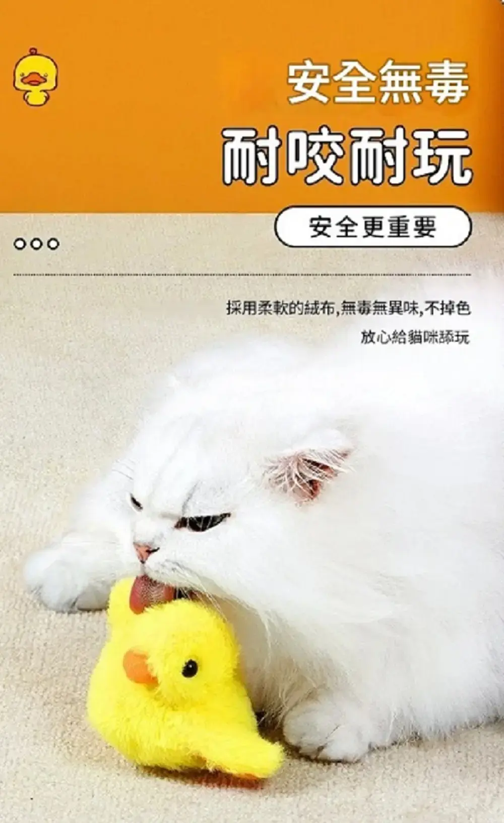 1000x0.webp