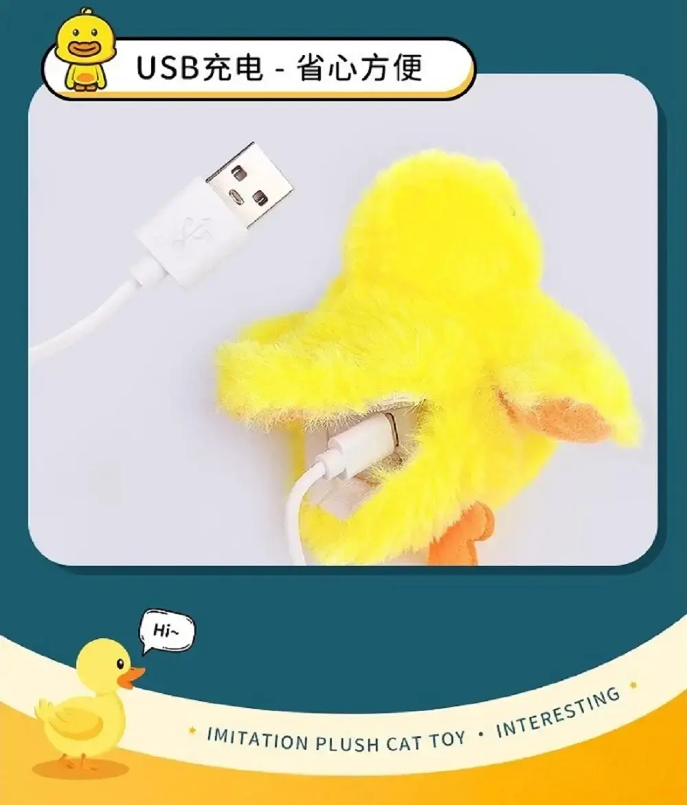 1000x0.webp