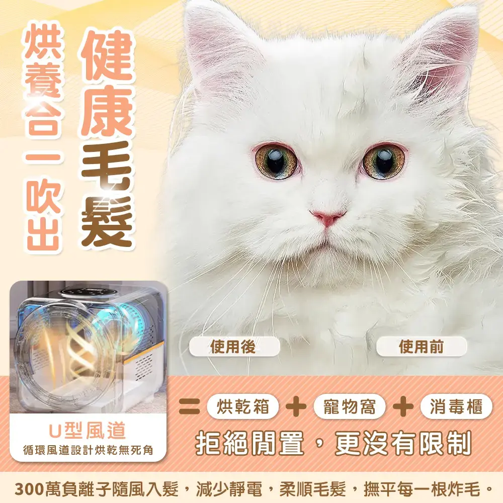 1000x0.webp