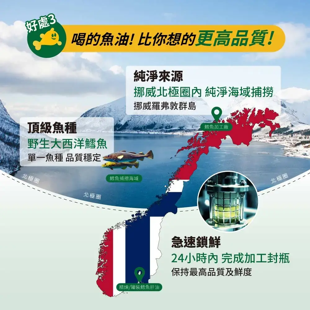 好處3,喝的魚油!比你想的更高品質!純淨來源,頂級魚種,挪威北極圈內純淨海域捕撈,挪威羅弗敦群島,鱈魚加工廠,野生大西洋鱈魚,單一魚種 品質穩定,鱈魚捕撈海域,北極圈,北極圈,精煉/罐裝鱈魚肝油,北極圈,急速鎖鮮,24小時內完成加工封瓶,保持最高品質